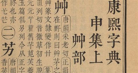 10笔画的字|康熙字典10画的字